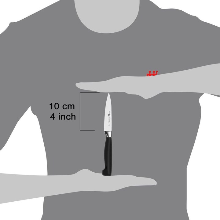 Produktbild Zwilling Vier Sterne (10 cm)