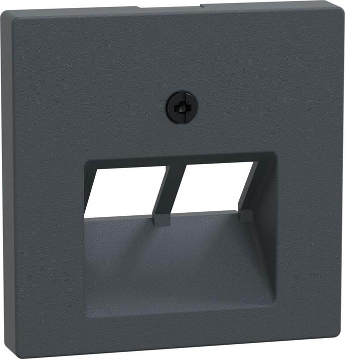 Actual product image Merten Central plate