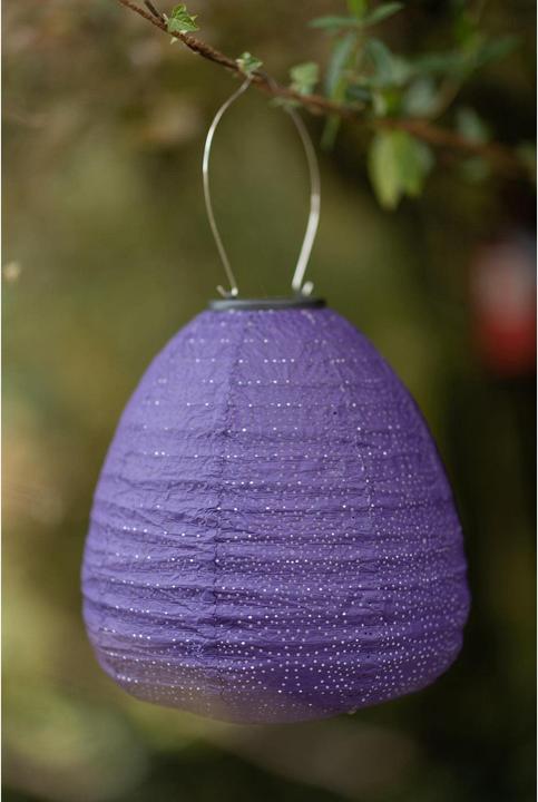 Immagine prodotto Cocon Cupola solare a LED Lampion, viola (0.42 m)