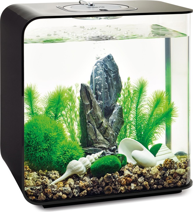 Actual product image Oase biOrb Aquarium 30 Decor Set (Embellishment, other items)