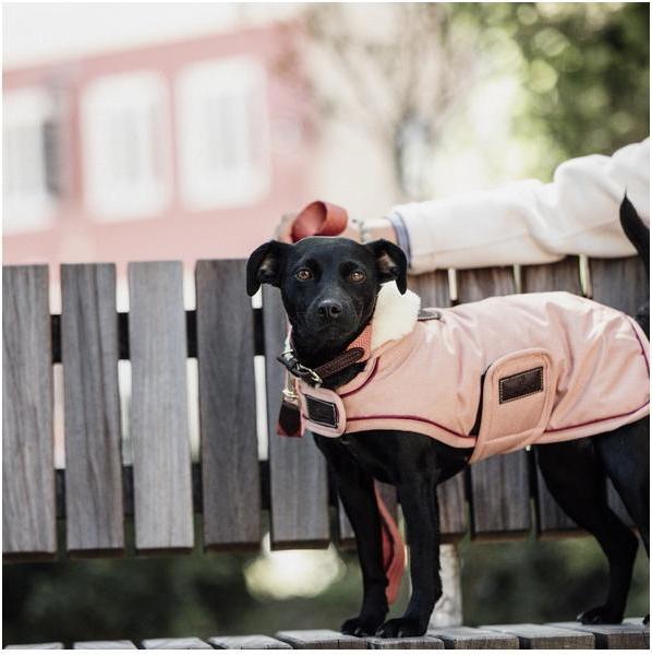 Kentucky Dogwear Hundemantel Waterproof (XL, Hundemantel)