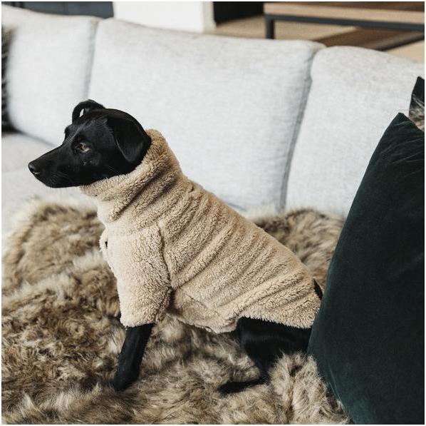 Produktbild Kentucky Dogwear Hunde Pullover Teddy Fleece (XL, Hundepullover)