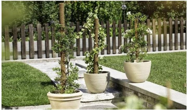 Actual product image Windhager Plant stick coconut (80 cm, 4.50 cm)