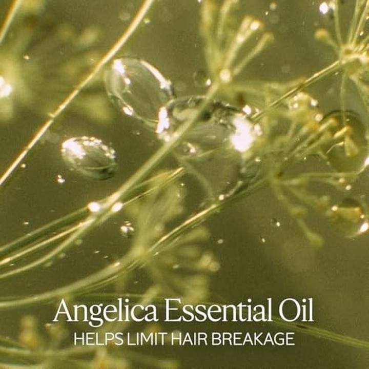 Produktbild L'Occitane Intensive Repair Mask 6.90 Oz (200 ml)