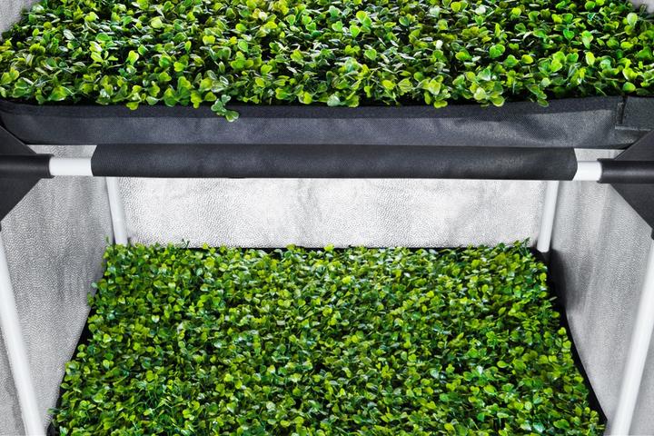 Produktbild Garden HighPro Probox Propagator L