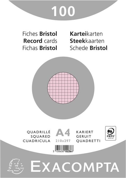 Produktbild Exacompta Karteikarten (210 x 297 mm, 100x, 205 g/m²)