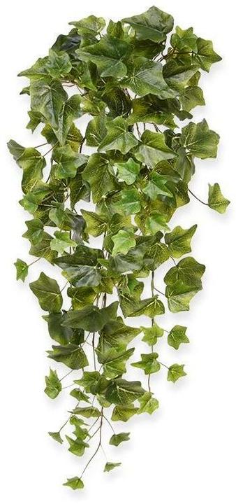 Image du produit Botanic-Haus Lierre (65 cm)