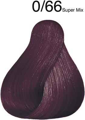 0/66 Viola Intensivo