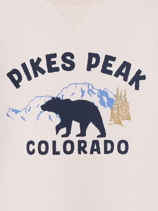 Produktbild Vertbaudet Sweatshirt mit farbigen ƒrmeln f¸r Jungen, Recycling-Polyester (116)