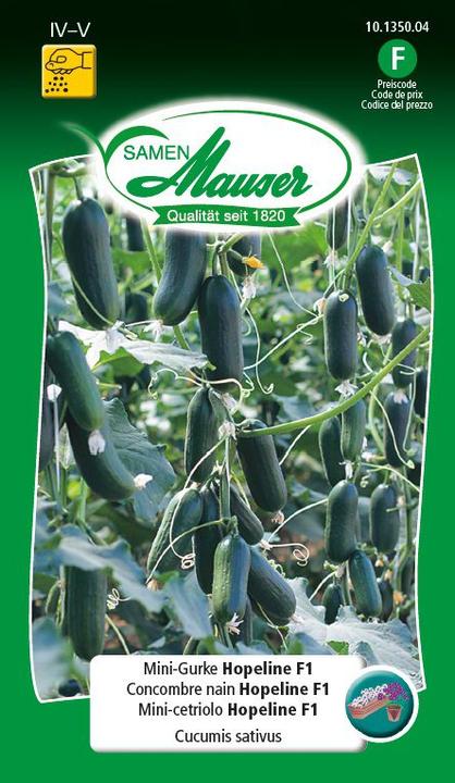 Immagine prodotto Samen Mauser Mini-Gurke Hopeline F1 (Semi di verdura)