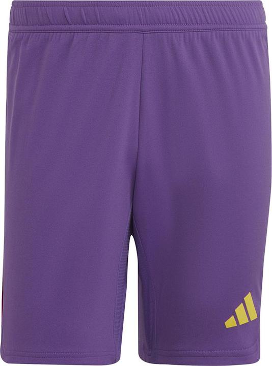 adidas Tiro 23 Pro Torwartshorts