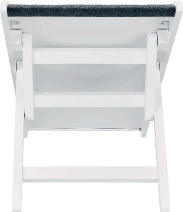 Actual product image Trixie Ramp, 3-fold height adjustable (Dog, Foldable)