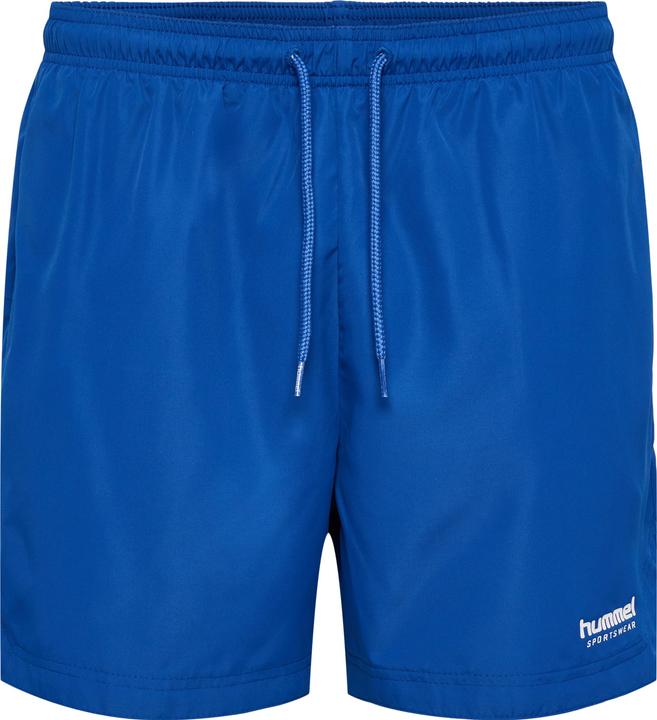 Image du produit hummel hmlLGC NED SWIM SHORTS (M)