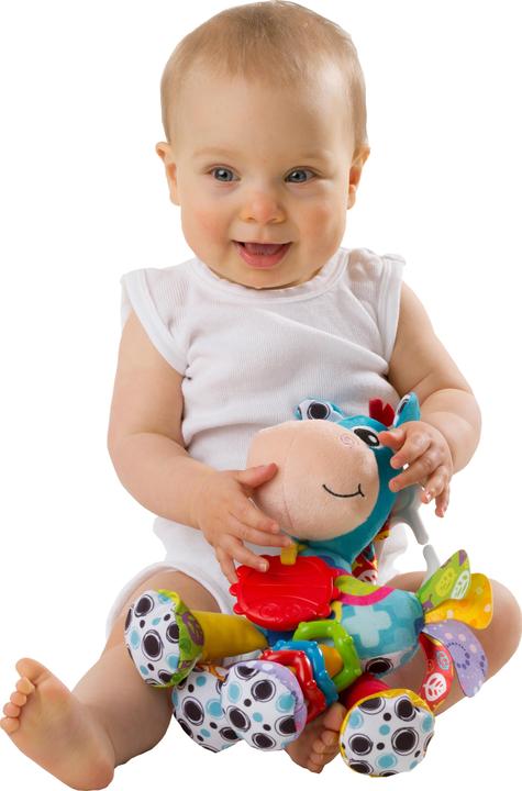 Productafbeelding Playgro Pluche paard