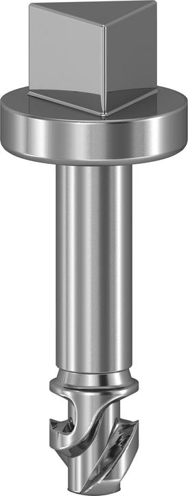 Actual product image Schneider Electric Triangular Screw Sbm 3mm Nsyaedstsb