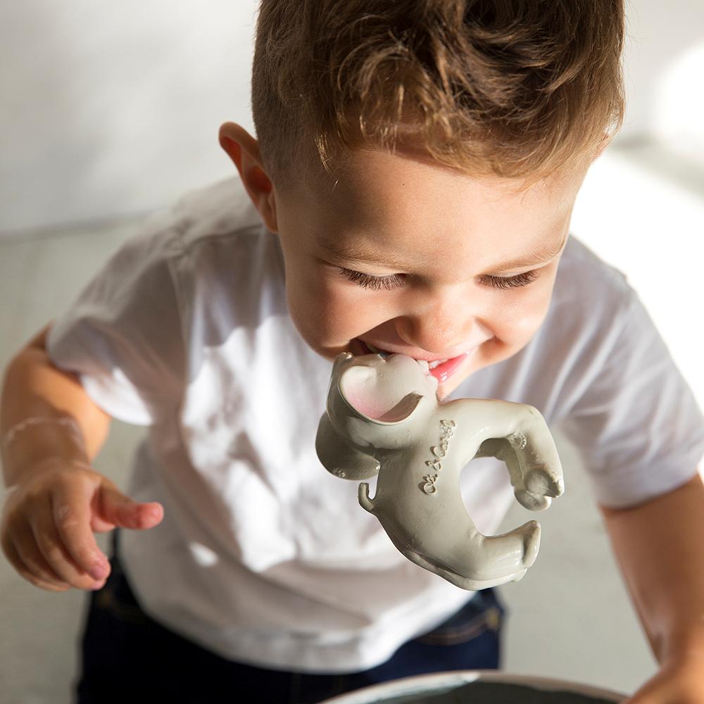 Thumbnail - Oli and Carol, Beissring, Oli & Carol - Nelly the elephant - (OC8951)