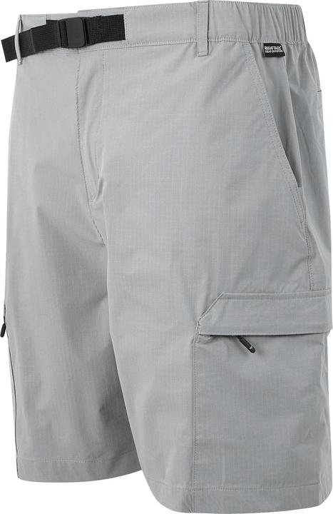 Actual product image Regatta Mens Mallen Shorts (L)