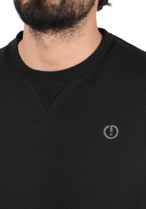 Actual product image Solid Benn O-Neck Men's Pullover (L)
