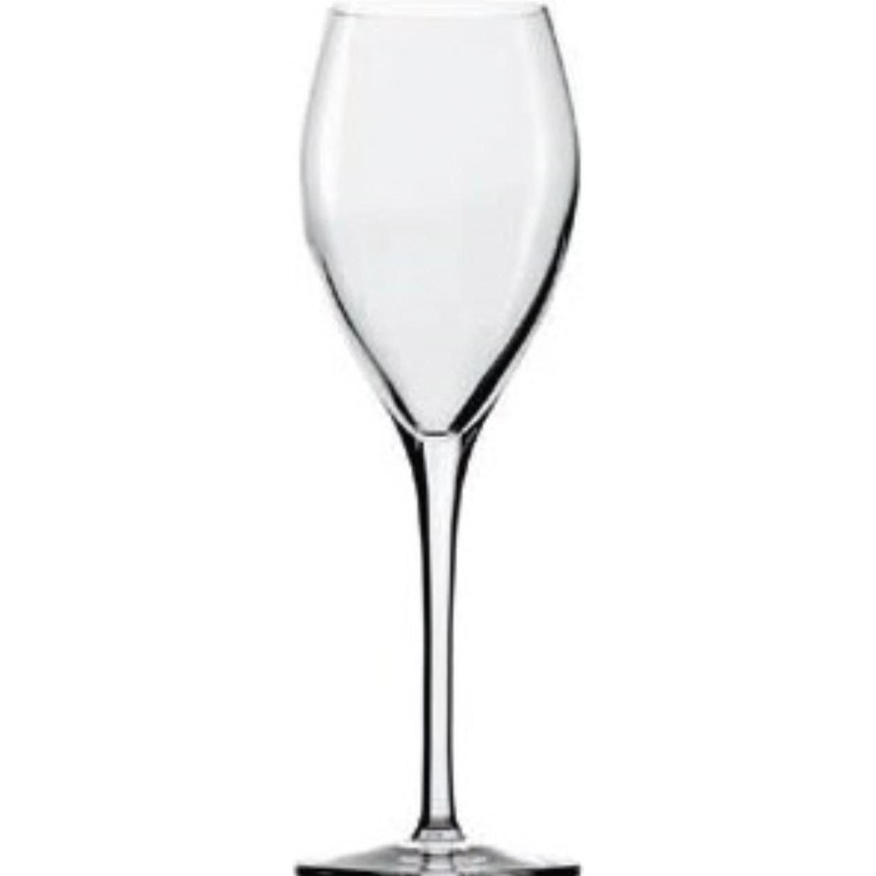 Stölzle Sparkling&Water Champagnerkelch 210ml h: 205mm, Weingläser, Transparent