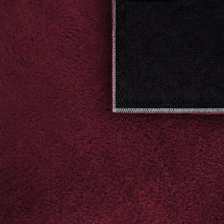 Produktbild TT Home Wohnzimmer Kurzflor Einfarbig Modernes Design Waschbar (160 cm)