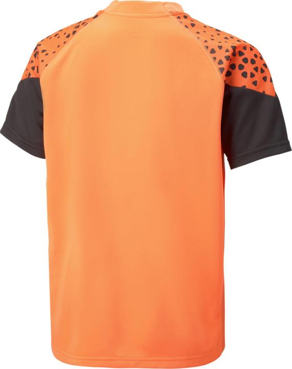 Produktbild Puma individualCUP Training Jersey jr (164)