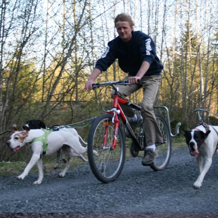 Produktbild Scout (Hund, Fahrrad)