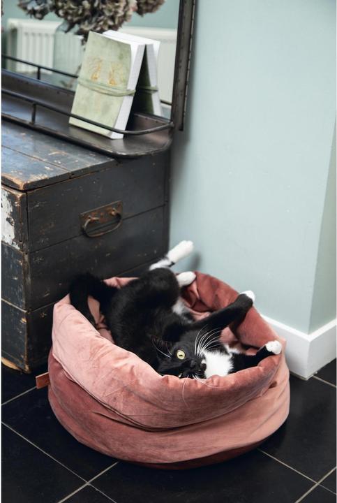 Productafbeelding Designed by Lotte Fluco (Kat)