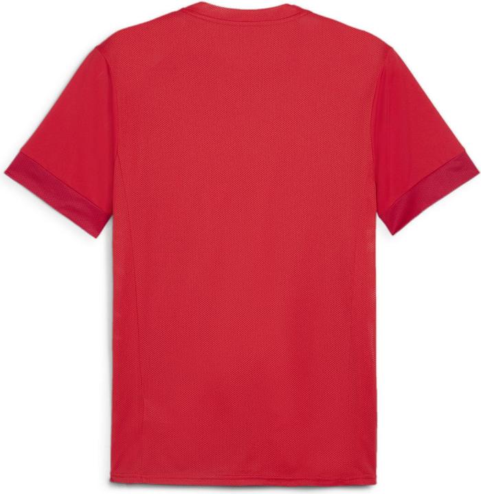 Actual product image Puma teamGOAL Matchday Jersey (M)