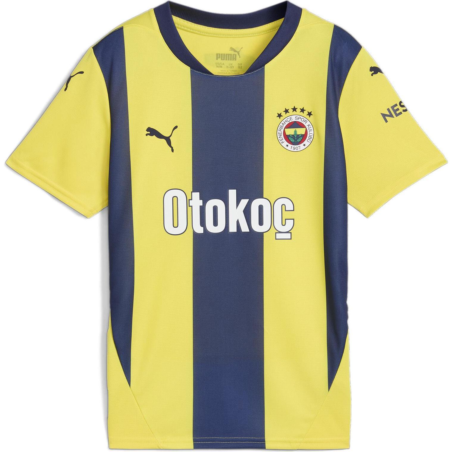 Puma, Jungen, Sportshirt, FSK Home Jersey Replica Jr (176), Gelb, 176