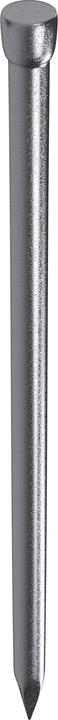 Tox Clous 1,6x30 (60 pcs.) Clous à tête bombée (60 pièce(s), 30 mm)