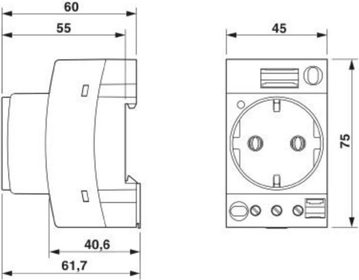 Actual product image Phoenix Contact Socket