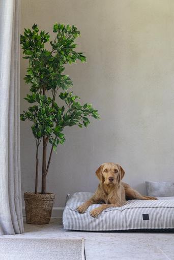 Actual product image Designed by Lotte Ribbed (Dog)