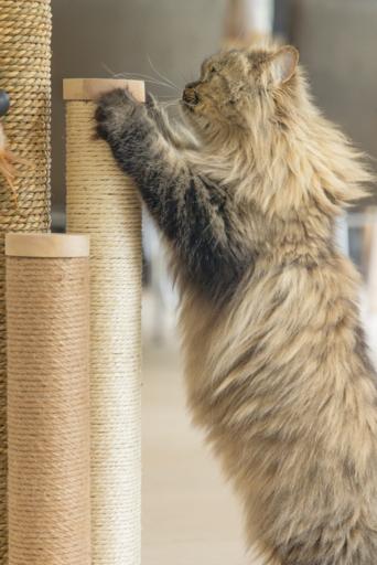 Produktbild Designed by Lotte Willa (70 cm, Sand)