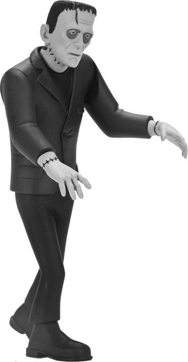 Actual product image Neca Universal Monsters Toony Terrors Action Figures 15 cm Series 10 Silver Screen Edition Range (12)