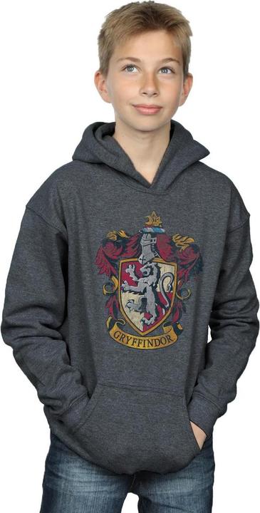 Image du produit - Sweat à capuche GRYFFINDOR DISTRESSED CREST - Garçon (116)