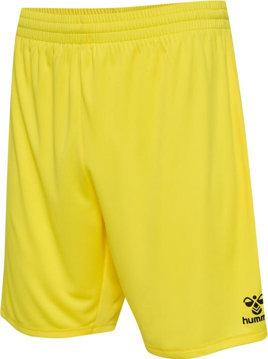 Blazing Yellow