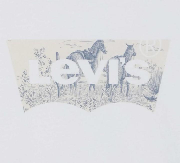 Immagine prodotto Levis The Perfect Maglietta Donna (36)