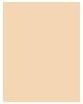 Immagine prodotto Shiseido Synchro Skin Rad Lifting Fond de Teint No 130 (130 Opale)