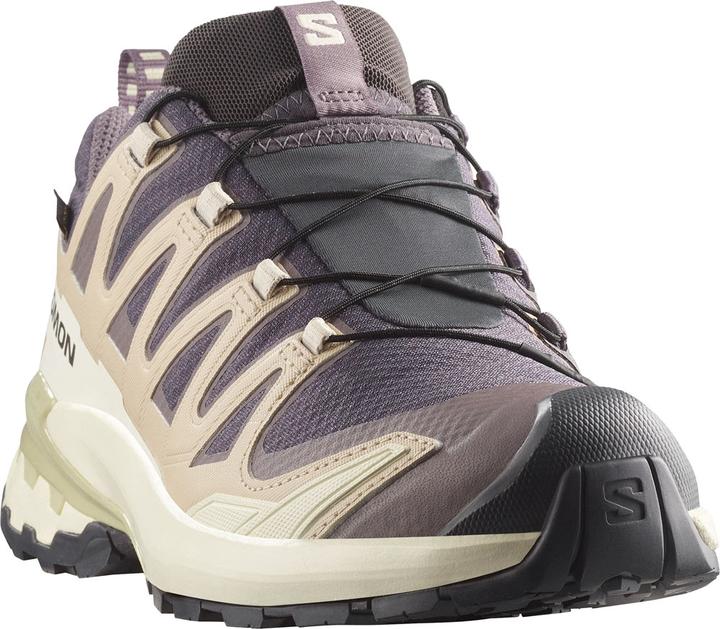 Image du produit Salomon XA Pro 3D V9 GTX (37.5)