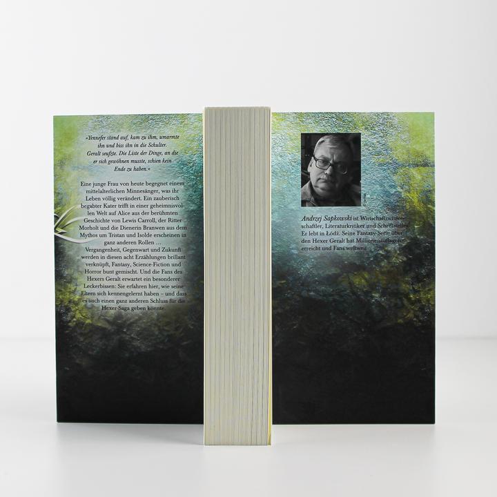 Actual product image Etwas endet, etwas beginnt (German, Andrzej Sapkowski, 2020)