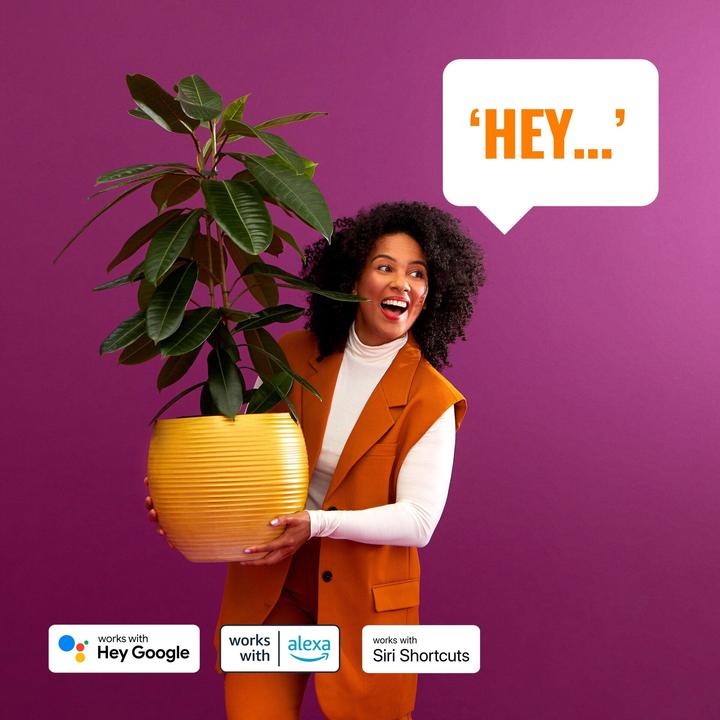 Produktbild WiZ Outdoor Ground Spot Starter (540 lm, IP65)