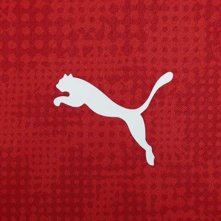 Immagine prodotto Puma Top 1/4 di zip ACM Training (L)