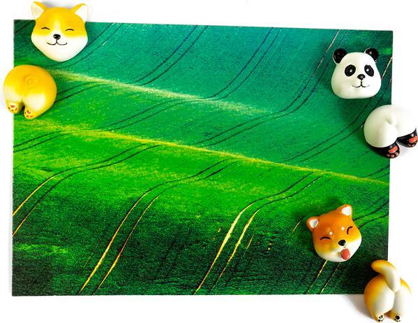 Produktbild Trendform Magnete CUTE (6x)