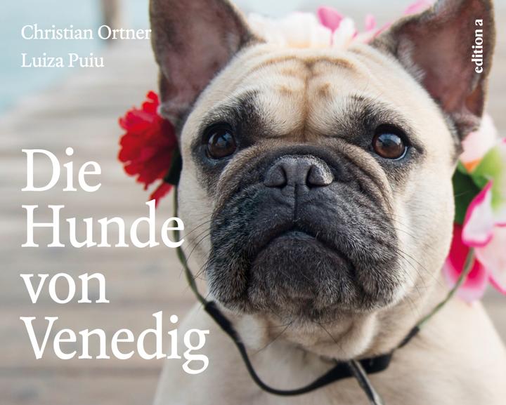 Produktbild Die Hunde von Venedig (Deutsch, Christian Ortner, Luiza Puiu, 2016)