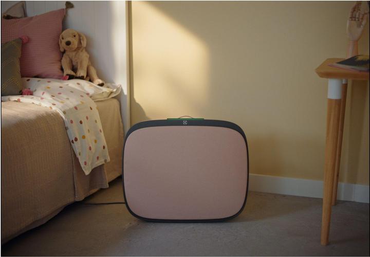 Produktbild Electrolux Dekor Set Soft Birch zu Well A7 und A5 (1x)