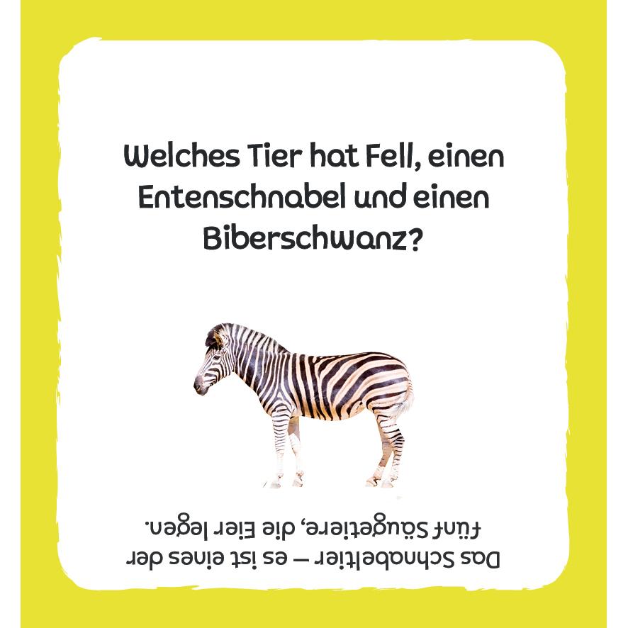 Thumbnail - Edition Fischer Kartenbox: Das grosse Quiz – Tiere (Deutsch)
