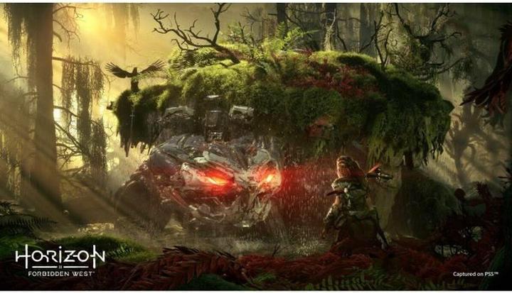 Actual product image Sony Horizon Forbidden West (PS5, EN)