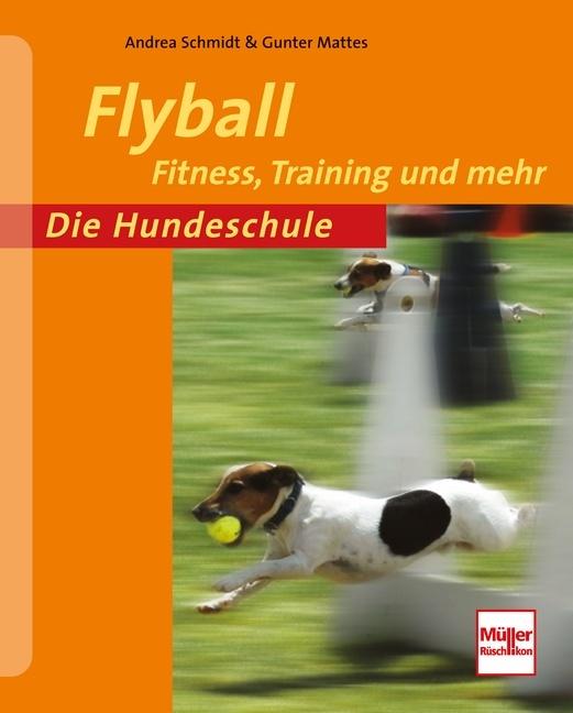 Produktbild Flyball (Deutsch, Andrea Schmidt, Gunter Mattes, 2013)