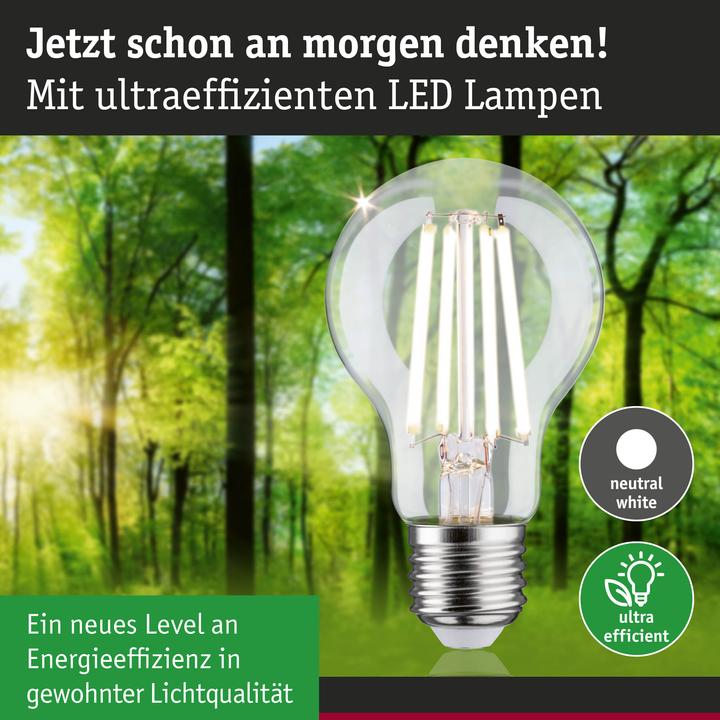 Produktbild Paulmann AGL Eco-Line (E27, 4.50 W, 840 lm, 1 x, B)