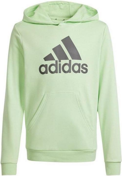 Produktbild adidas Big Logo Hoodie Jr (152)